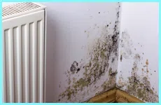 Delray Beach Emergency Restoration Delray Beach, FL 561-328-1370