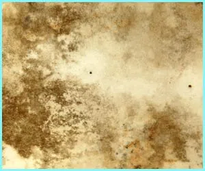 Delray Beach Emergency Restoration Delray Beach, FL 561-328-1370